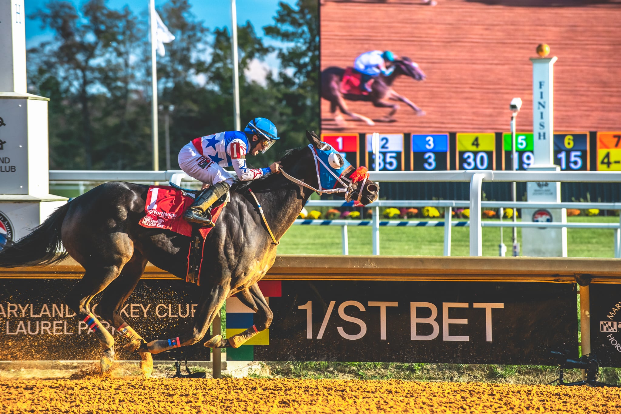 Maryland Jockey Club horse