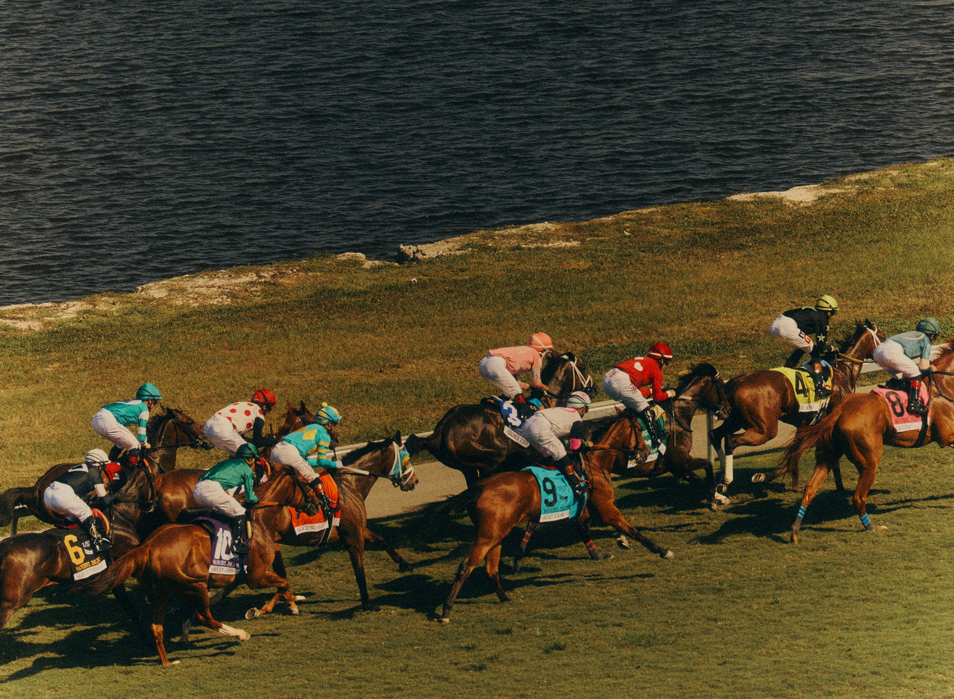 PEGASUS WORLD CUP