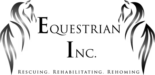 Equestrian-Logo--9-10-20-Simple