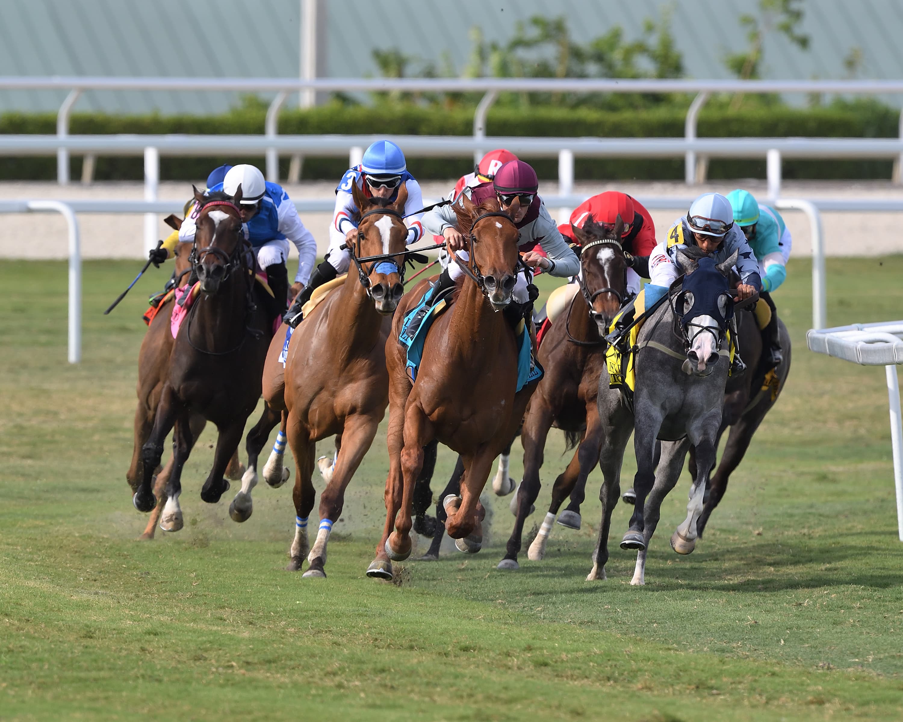 1ST CONTENT AND NYRA CONTENT MANAGEMENT SOLUTIONS ANNOUNCE PARTNERSHIP TO EXPAND DISTRIBUTION OF NORTH AMERICAN HORSE RACING CONTENT