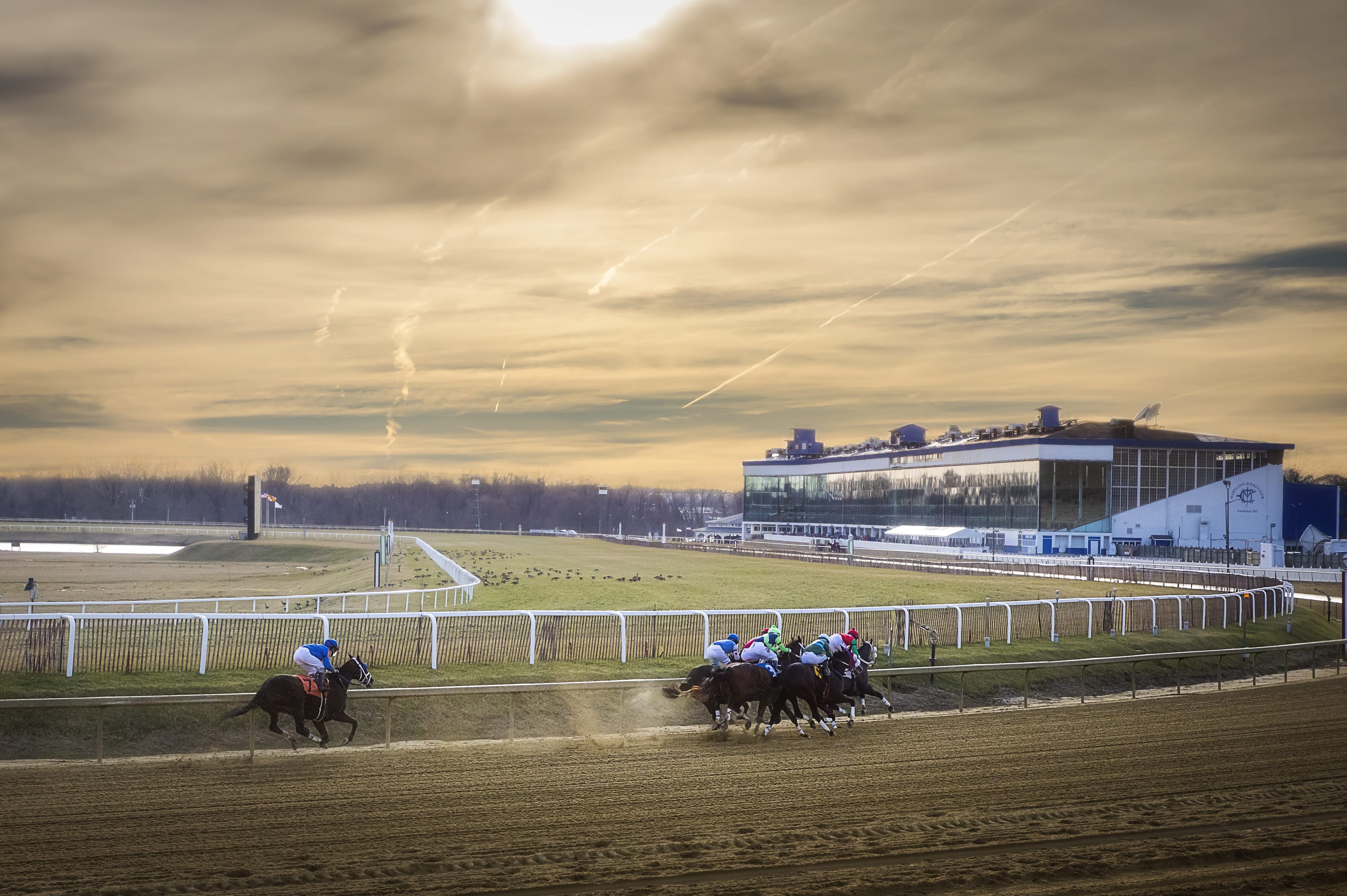 Joint Study Lasix 2yo