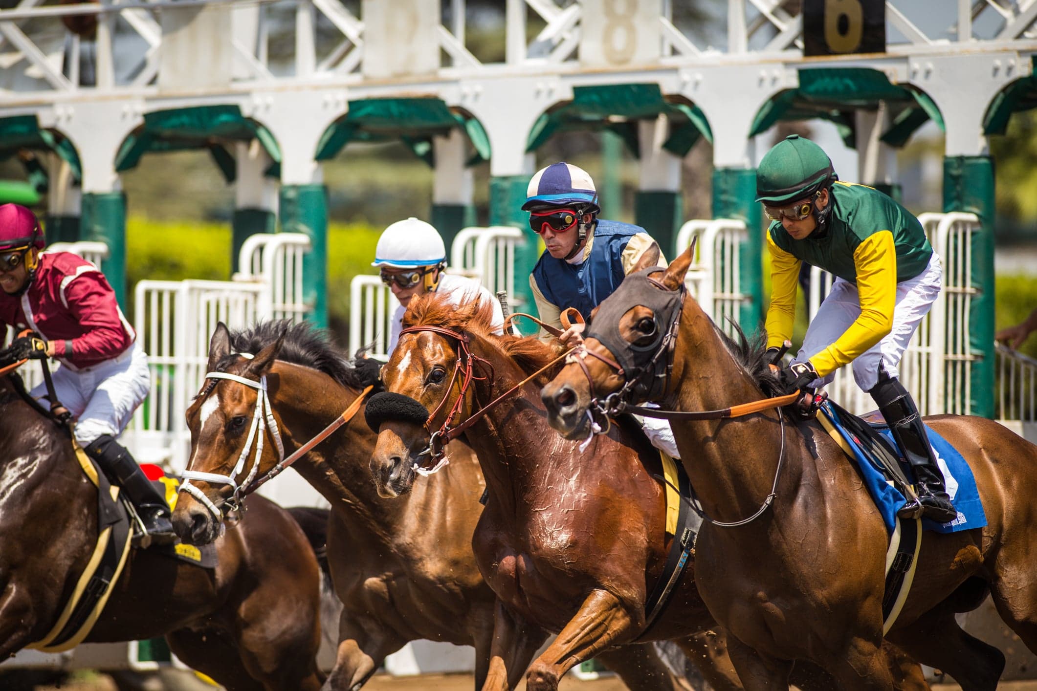 1ST RACING CONTINUES ITS LONG-TERM SUPPORT FOR THE JOCKEYS’ GUILD