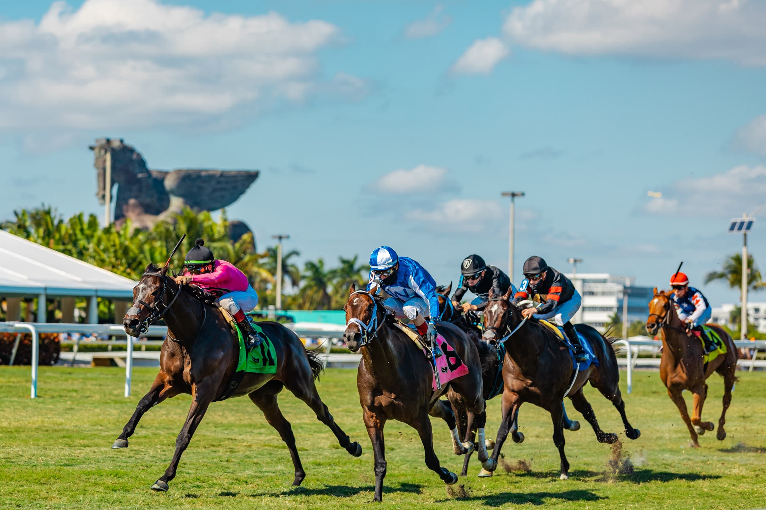 1ST RACING INTRODUCES LASIX-FREE RACING FOR ALL STAKES RACES AT GULFSTREAM PARK