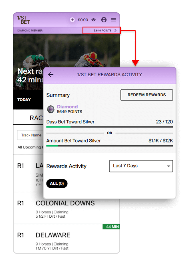 1ST Rewards About Image